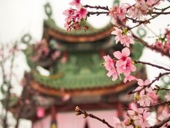 -宝墨园景区