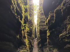 -梭布垭石林景区