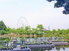 -无锡蠡湖国家湿地公园-蠡园