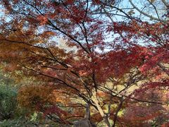 -南山风景名胜区
