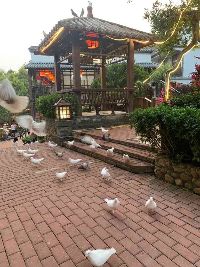 博雅山房(太平镇店)-"环境太赞啦!虽然开车过来真的很远,但是.