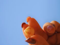 -长江澳风力发电景观区