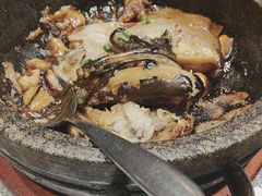 -海派美食·家宴海鲜青岛菜·石锅鲽鱼头(东方城店)
