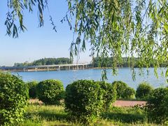 -丁香湖公园
