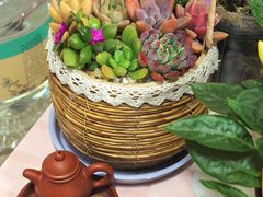 -龙大花卉苗木市场