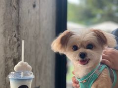 -CEMENT·coffee bar (凤凰创意园店)