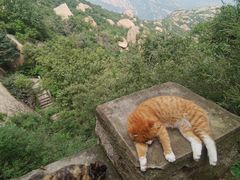 -北京凤凰岭