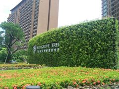 -亚马逊丛林水乐园