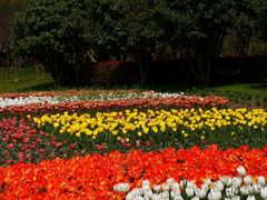 -上海鲜花港
