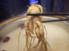 -千岛蚝高压锅生蚝·人参火锅(白云万达店)