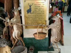 -乔家满族八大碗(流水沟店)