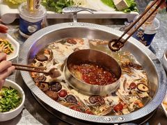 -俏媳妇火锅(宽窄巷子店)