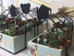-花未央花店·WEYOUNG
