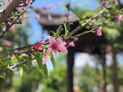 -古田会议纪念馆