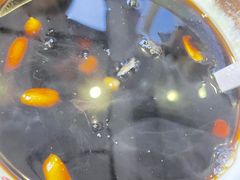 -鲜芋仙(中环百联2店)