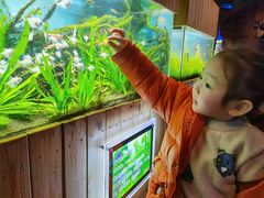 -梦幻海洋王国(吾悦广场张家港店)