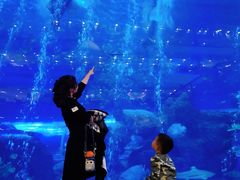 -成都浩海立方海洋公园