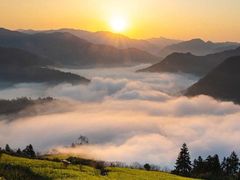 -贵州百里杜鹃风景名胜区