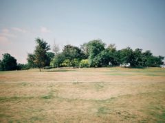 -白鹭湾湿地公园