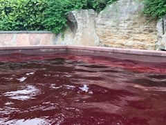 -天目湖涵田半山温泉