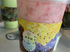 -野萃山·潮汕厚果汁(十亩地店)