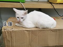 老街糯米团-正南齐北·老街糯米团(洪崖洞店)