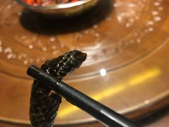 -湘潭九龙鱼头店(城南西路店)