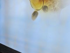 -徽三说·土徽菜·中国徽菜连锁品牌(一中店)