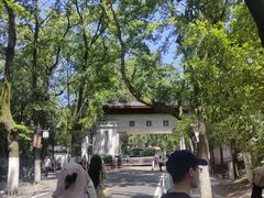 -湘村小灶·地道长沙菜·本地人优选(咸嘉新村店)