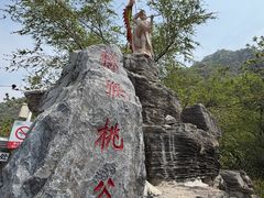 -大岭沟猕猴桃谷风景区