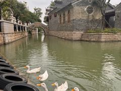 -赤坎·广东华侨国际旅游度假区