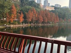 -重庆彩云湖湿地公园