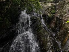 -梧桐山风景名胜区