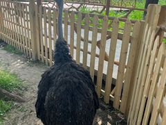 -白渔泡湿地公园