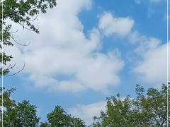 -长广溪湿地公园