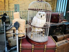 游乐设施哈利波特小火车-奥兰多环球影城