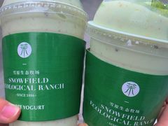 -茉酸奶(春熙路店)