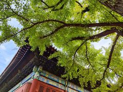 -红螺寺
