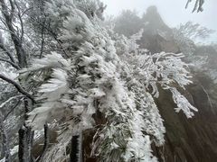 -洛阳白云山景区
