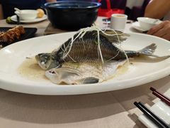 油盐蒸神仙鳊鱼-四海酒家生态粤菜