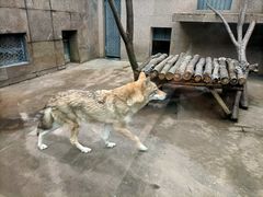 -西安秦岭野生动物园