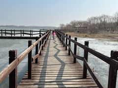 -西青郊野公园