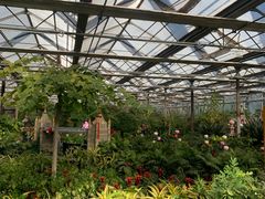 -南宫五洲植物乐园