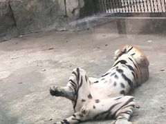 -南昌动物园