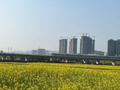 -光明小镇欢乐田园
