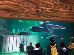 -华夏文旅海洋公园