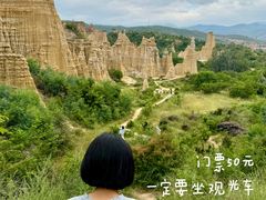 -元谋浪巴铺土林景区