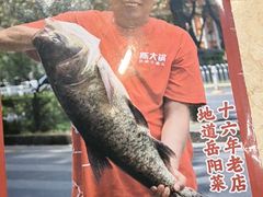 -陈大锅·岳阳鱼馆·地道岳阳菜(美食街店)