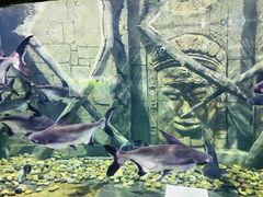 -梦幻海洋王国(吾悦广场张家港店)