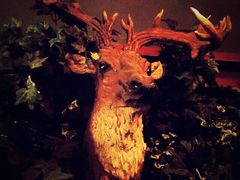 HUNTING&nbsp;BAR-HUNTING BAR亨霆鸡尾酒馆(越秀淘金店)